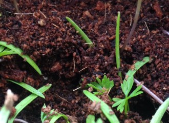 Nature based storytelling