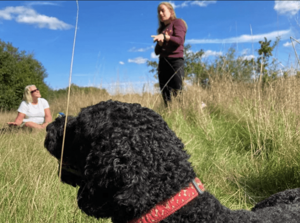 Storytelling walk as part of Walk Tonbridge Festival 2023